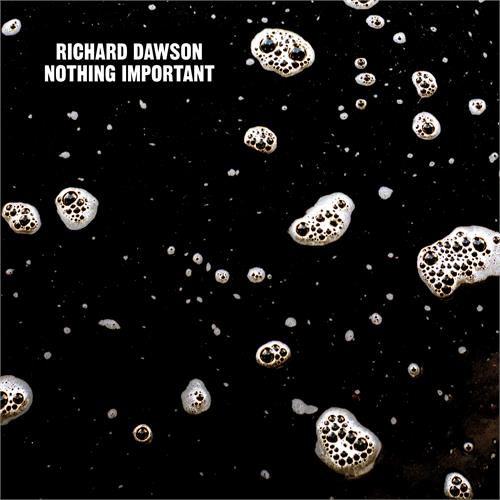 Richard Dawson Nothing Important (LP)
